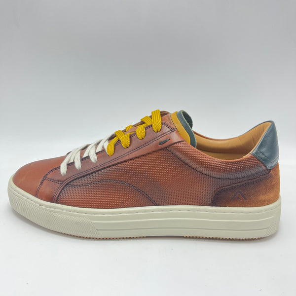 Sneaker Ambitious - Scarpa sneaker low top