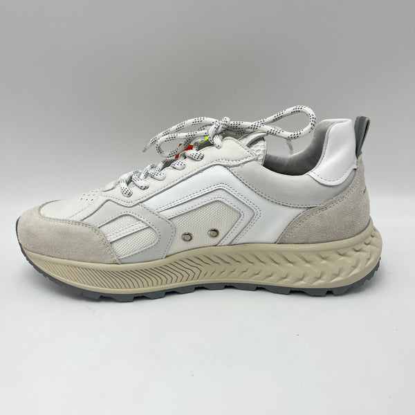 Sneaker Ambitious - Scarpa Low Top