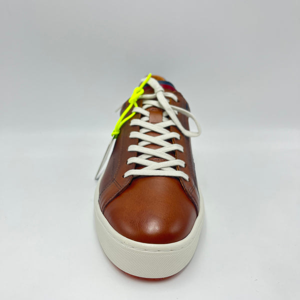 Sneaker Ambitious - Scarpa sneaker low top