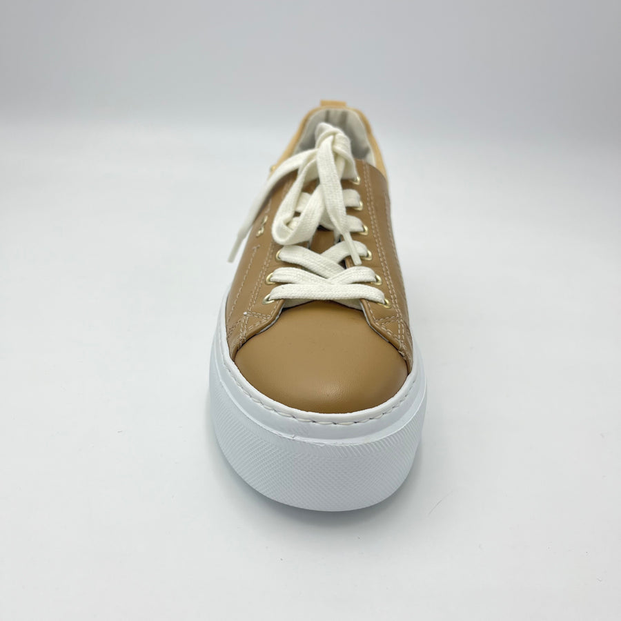 Sneaker Nero Giardini - Sneaker Cuoio con Dettaglio Animalier e Borchie Dorate