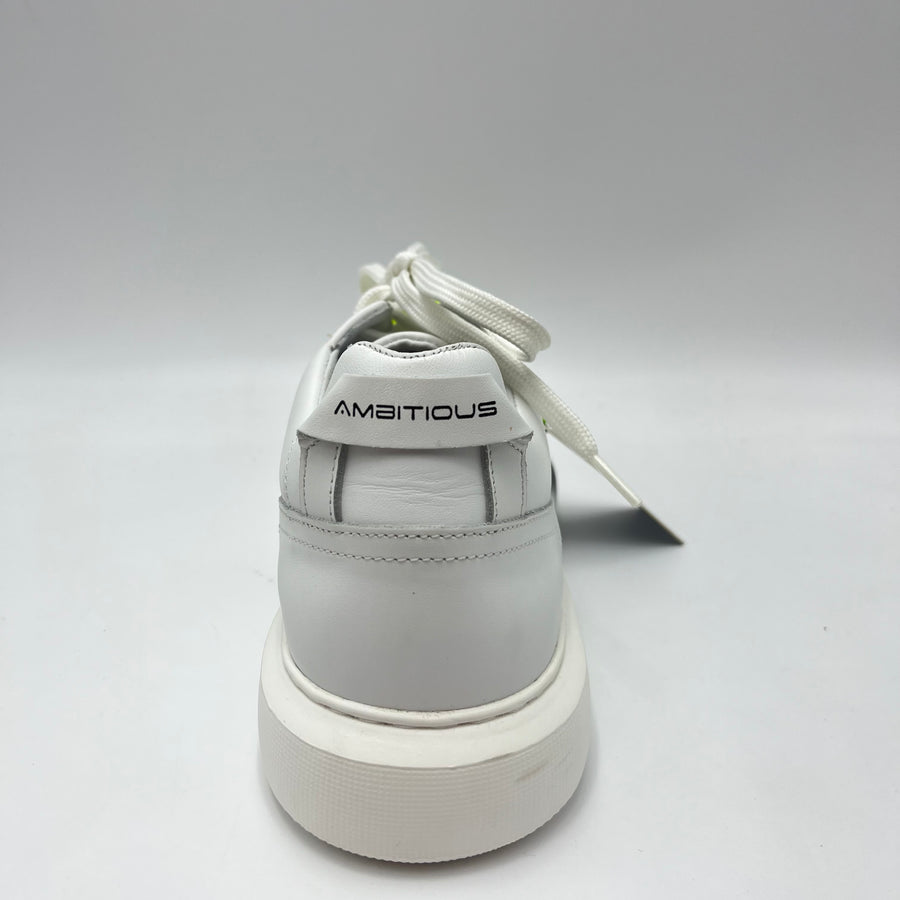 Sneaker Ambitious - Scarpa Low Top