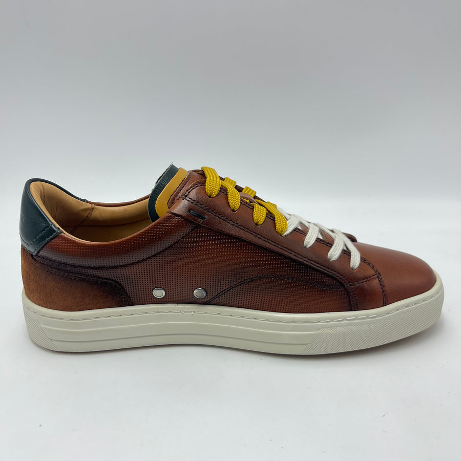 Sneaker Ambitious - Scarpa sneaker low top