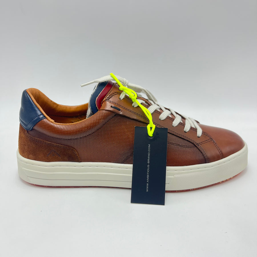 Sneaker Ambitious - Scarpa sneaker low top