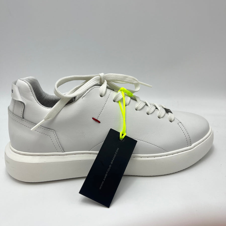 Sneaker Ambitious - Scarpa Low Top