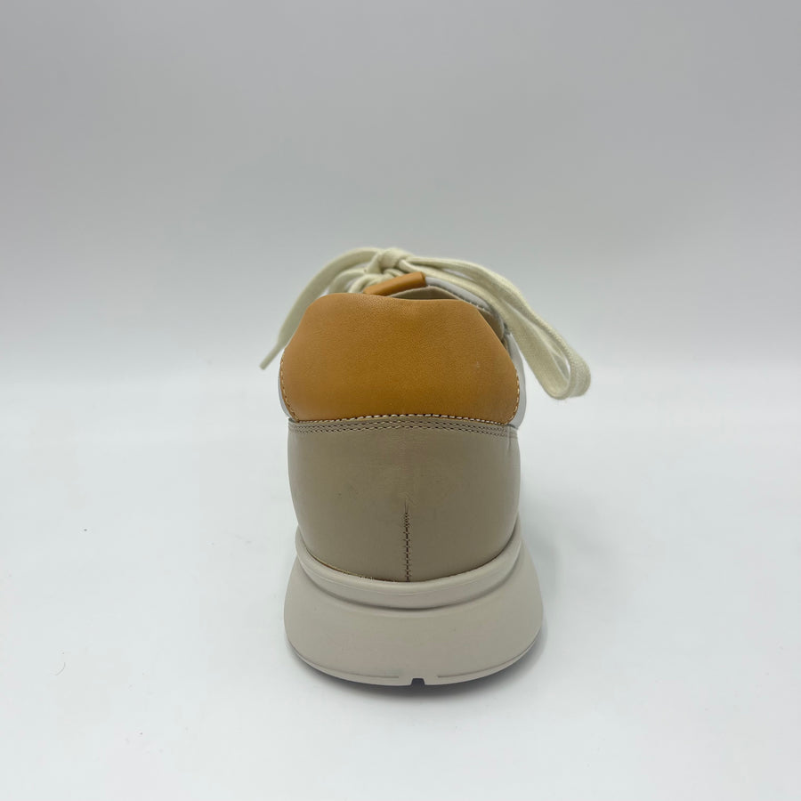Sneaker Frau - Scarpa Sportiva