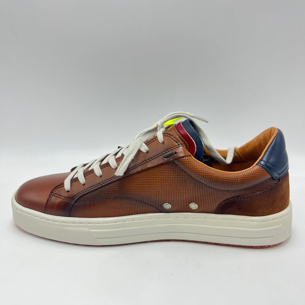 Sneaker Ambitious - Scarpa sneaker low top