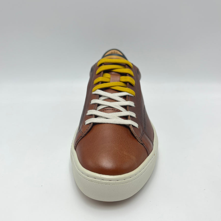 Sneaker Ambitious - Scarpa sneaker low top