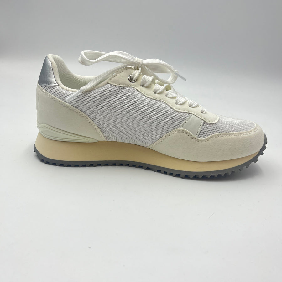 Sneaker Napapijri - Sneaker Stringate