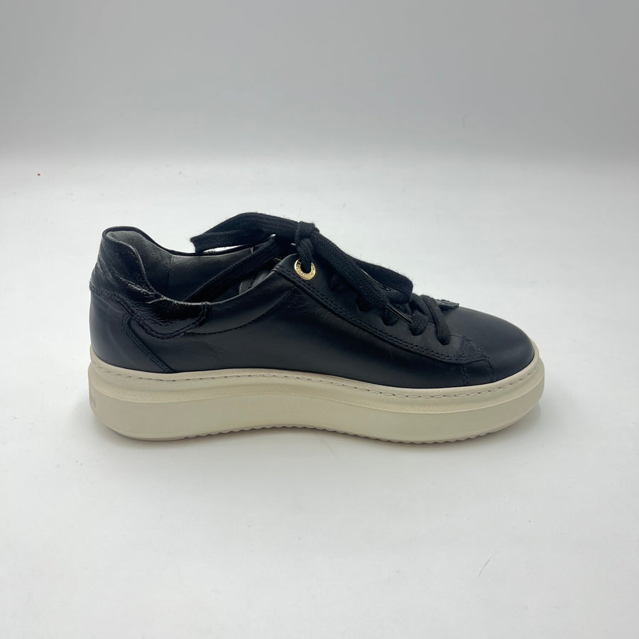 Sneaker Nero Giardini - Sneaker Nera in Pelle e Vernice con Profili Oro